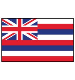 Hawaii State Flag - United States